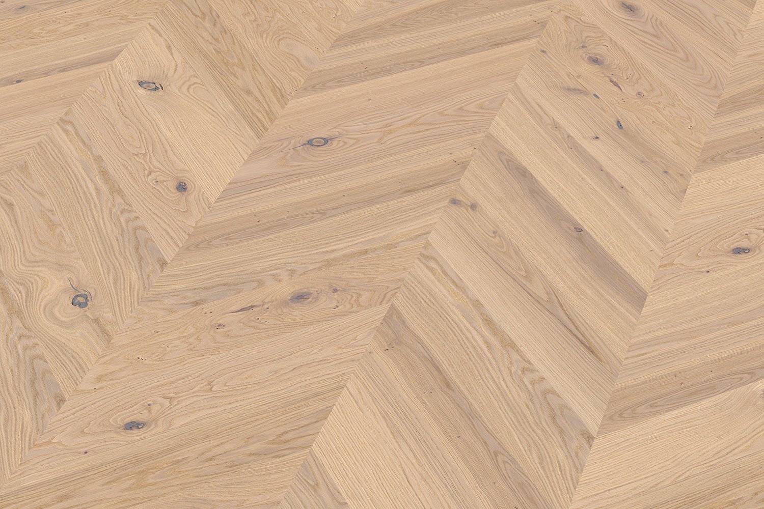 Detailed view French herringbone parquet oak intense white rustic