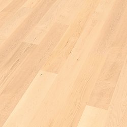 Hard Maple parquet