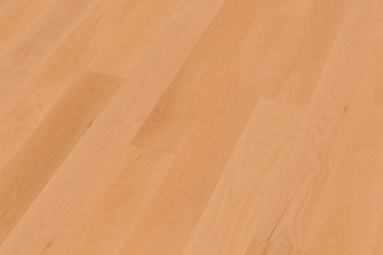 Buche gedämpft (Sortierung natur)
